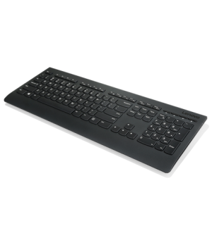 Lenovo | Professional | Professional Wireless Keyboard and Mouse Combo - US English with Euro symbol | Keyboard and Mouse Set | 