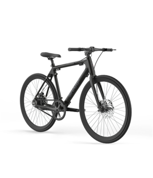 Sharp Hybrid E-Bike | 250 W | 21 " | 24 month(s) | Black