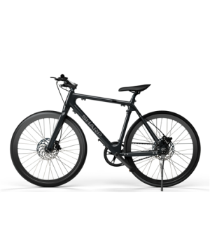 Sharp Hybrid E-Bike | 250 W | 21 " | 24 month(s) | Black