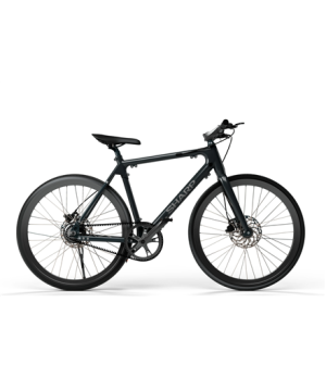 Sharp Hybrid E-Bike | 250 W | 21 " | 24 month(s) | Black