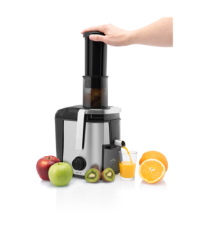 ETA | Juicer | Fresher II ETA503290000 | Type Centrifugal | Silver/Black | 800 W | Number of speeds 2 | 19000 RPM