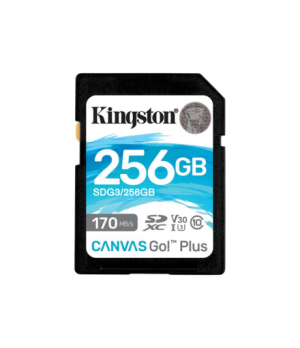 Kingston | Canvas Go! Plus | 256 GB | Flash memory class 10