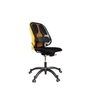 Fellowes | Professional back support with mesh Professional Series | Graphite | Depth 195 mm | Height 370 mm | Mesh textile | Wi