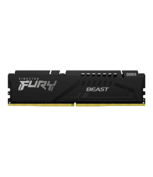 Kingston | 32 GB | DDR5 | 6000 MHz | PC/server | Registered No | ECC Yes