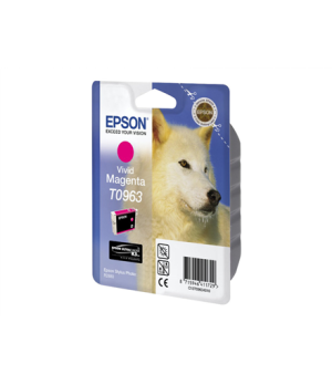 Epson T096 Vivid Magenta Cartridge | Epson