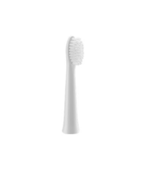 Panasonic | Brush Head | WEW0972W503 | Heads | For adults | Number of brush heads included 2 | Number of teeth brushing modes Do