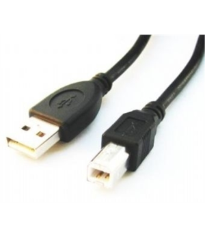 Cablexpert | CCP-USB2-AMBM-6 | USB-A to USB-B USB A | USB B