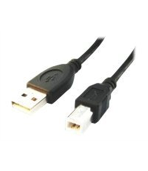 Cablexpert | CCP-USB2-AMBM-6 | USB-A to USB-B USB A | USB B