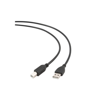 Cablexpert | CCP-USB2-AMBM-6 | USB-A to USB-B USB A | USB B