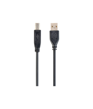 Cablexpert | CCP-USB2-AMBM-6 | USB-A to USB-B USB A | USB B