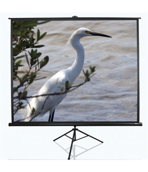 Tripod Series | T120NWV1 | Diagonal 120 " | 4:3 | Viewable screen width (W) 244 cm | White