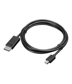 Lenovo | Black | mini DisplayPort | DisplayPort | DP to DP | 2 m