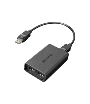 Lenovo Black | USB A | USB A | DisplayPort to Dual-DisplayPort Monitor Cable