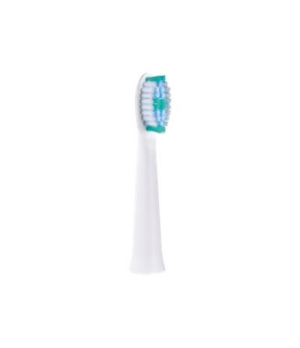 Panasonic | Toothbrush replacement | WEW0974W503 | Heads | For adults | Number of brush heads included 2 | Number of teeth brush