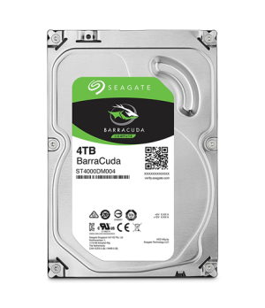 Seagate | ST4000DM004 | 5400 RPM | 4000 GB