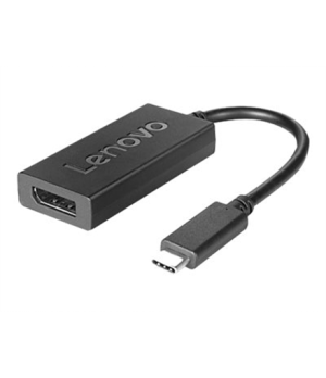 Lenovo | 4X90Q93303 USB-C to DisplayPort | USB-C to Dp USB-C male | DisplayPort