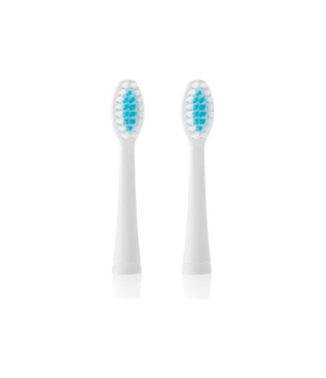 ETA | Toothbrush replacement  for ETA0709 | Heads | For adults | Number of brush heads included 2 | Number of teeth brushing mod