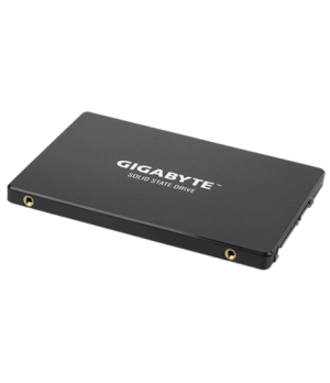 Gigabyte | GP-GSTFS31256GTND | 256 GB | Solid-state drive interface SATA | Read speed 520 MB/s | Write speed 500 MB/s