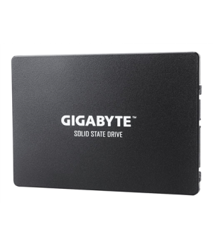 Gigabyte | GP-GSTFS31256GTND | 256 GB | Solid-state drive interface SATA | Read speed 520 MB/s | Write speed 500 MB/s