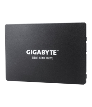 Gigabyte | GP-GSTFS31256GTND | 256 GB | Solid-state drive interface SATA | Read speed 520 MB/s | Write speed 500 MB/s