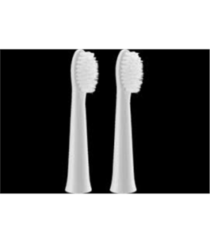 Panasonic | Brush Head | WEW0972W503 | Heads | For adults | Number of brush heads included 2 | Number of teeth brushing modes Do