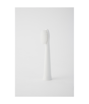 Panasonic | Brush Head | WEW0972W503 | Heads | For adults | Number of brush heads included 2 | Number of teeth brushing modes Do