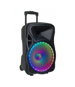 N-Gear | Portable Speaker | The Flash 1205 | 300 W | Bluetooth | Black | Wireless connection