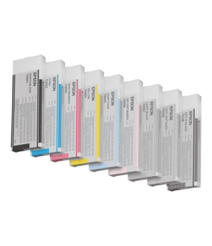 Epson T606100 | Ink Cartridge | Photo Black