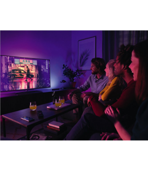 Philips Hue|Lightbar Twin Pack|Hue Play|42 W|2000-6500 Hue White Color Ambiance