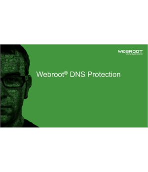 Webroot | DNS Protection with GSM Console | 2 year(s) | License quantity 1-9 user(s)