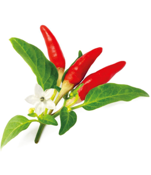 Click & Grow Smart Garden refill Red Hot Chili Pepper 3pcs