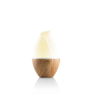 ETA | Aroma diffuser | Aria ETA463490000 | Ultrasonic | Suitable for rooms up to 25 m³ | Wood