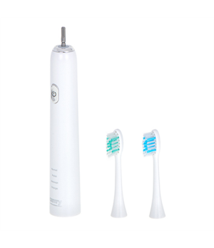 Camry Sonic Toothbrush CR 2173 Rechargeable For adults Number of brush heads included 2 Number of teeth brushing modes 3 Sonic t