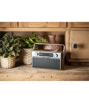 Camry | Bluetooth Radio | CR 1183 | 16 W | AUX in | Wooden