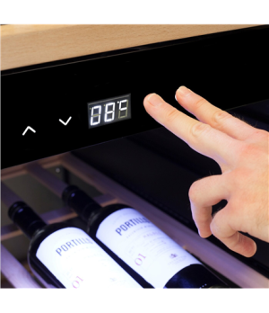 Caso | Smart Wine Cooler | WineExclusive 38 | Energy efficiency class G | Free standing | Bottles capacity 38 bottles | Cooling 