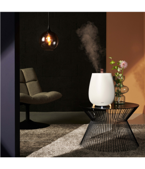 Duux | Humidifier Gen2 | Tag | Ultrasonic | 12 W | Water tank capacity 2.5 L | Suitable for rooms up to 30 m² | Ultrasonic | Hum