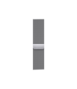 45mm Silver Milanese Loop Apple