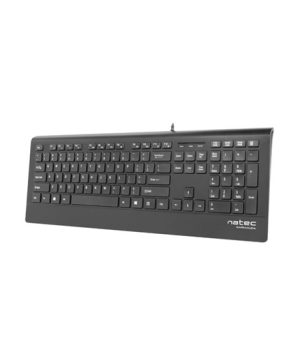 Natec Keyboard, Barracuda, US Layout, Slim | Natec | Keyboard | Barracuda | Standard | Wired | US | Black | 529 g