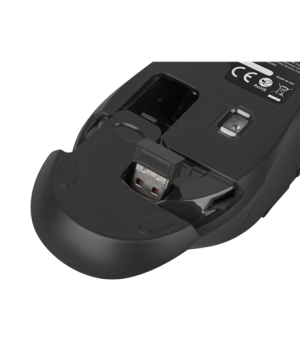 Natec Mouse, Robin, Wireless, 1600 DPI, Optical, Black Natec Mouse Black Wireless