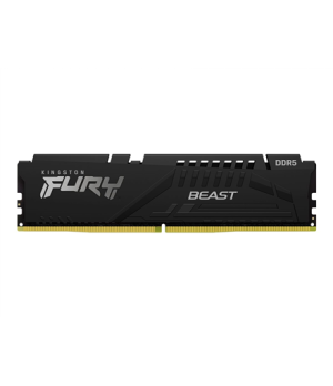 Kingston | 16 GB | DDR5 | 5600 MHz | PC/server | Registered No | ECC No