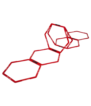 Pure2Improve Hexagon Agility Grid