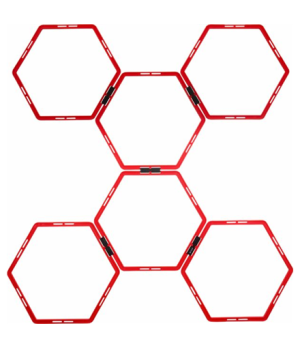 Pure2Improve Hexagon Agility Grid