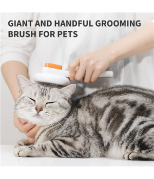 PETKIT | Large Grooming Brush | White