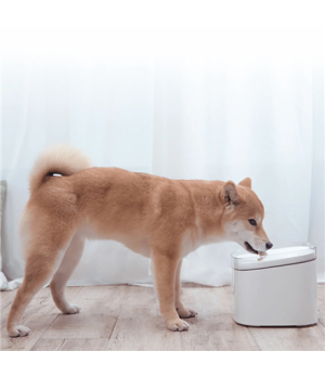 Xiaomi | Smart Pet Fountain EU | BHR6161EU | Capacity 2 L | White