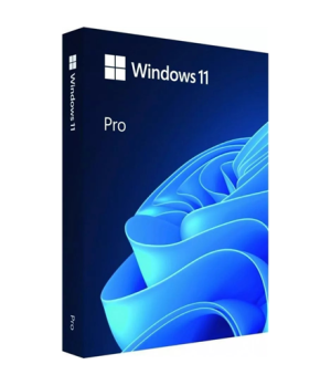 Microsoft | Windows 11 Pro | HAV-00163 | English | FPP | USB | 64-bit