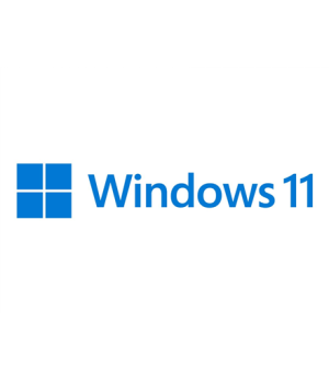 Microsoft | Windows 11 Pro | HAV-00163 | English | FPP | USB | 64-bit