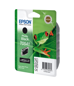 Epson Ultra Chrome Hi-Gloss | T0541 | Ink | Black