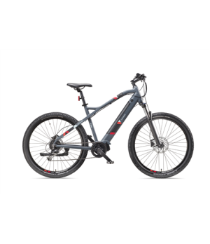 Telefunken MTB E-Bike Aufsteiger M925 29 " 24 month(s) Anthracite