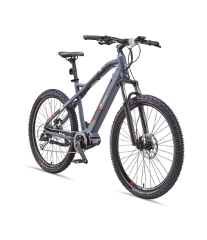 Telefunken MTB E-Bike Aufsteiger M925 29 " 24 month(s) Anthracite