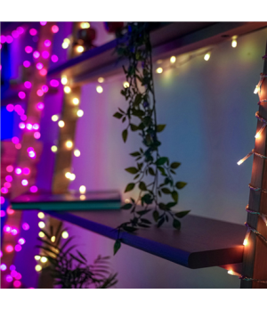 Twinkly Strings Smart LED Lights 400 RGBW (Multicolor + White), 32m, Black wire | Twinkly | Strings Smart LED Lights 400 RGBW (M